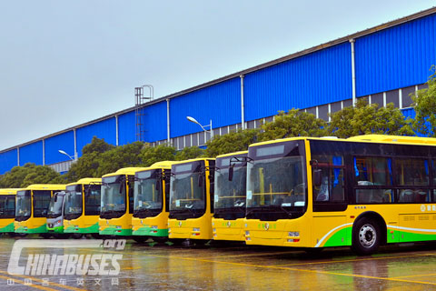 Golden Dragon New Energy Buses Lined up to Deliver