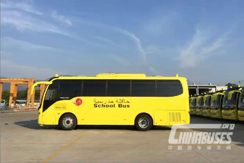 80 Selected King Long School Buses Exported to Saudi Arabia