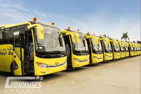 80 Selected King Long School Buses Exported to Saudi Arabia