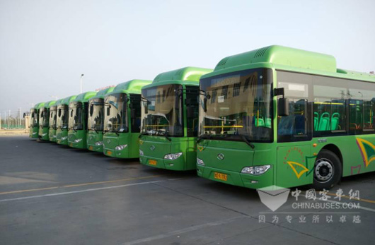 King Long Green Buses Arrive in Pingdingshan for Operation  