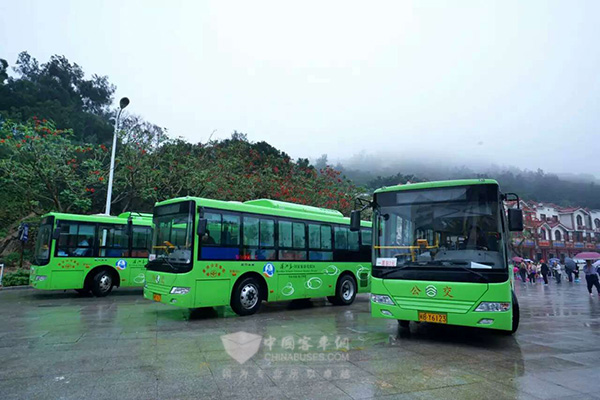 Golden Dragon Electric Buses Upgrade Meizhou Island Public Transport  