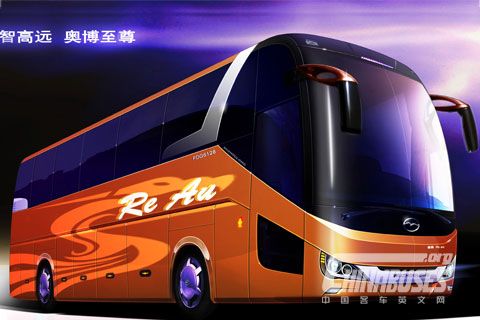 Wuzhoulong Bus FDG6128