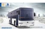 Bonluck Bus JXK6901BA5N natural gas city bus