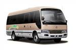 Golden Dragon Bus XML6700JEV10 electric bus