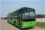 Bonluck Bus JXK6105BA5N Natural Gas City Bus