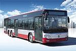 Foton AUV Bus BJ6140C8CJD Diesel Engine City Bus