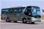 Zhongtong Bus LCK6118EV1 electric bus
