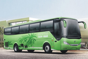Ankai Bus HFF6121K09D1E51 diesel engine bus
