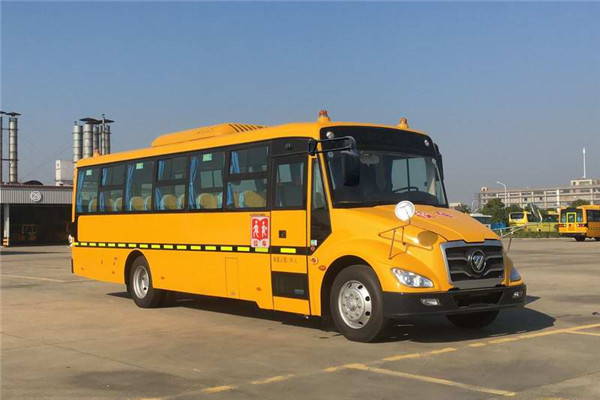 Foton AUV Bus BJ6991S8LFB school bus(WP4.1NQ190E61)