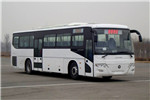 Foton AUV Bus BJ6127C8MTB-1 Natural Gas City Bus
