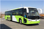 Foton AUV Bus BJ6147C8BTD-1 Natural Gas City Bus