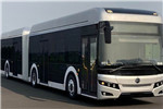 Golden Dragon Bus XML6185JEVJ0C electric city bus