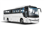 Golden Dragon Bus XML6112JEVY01 Electric City Bus