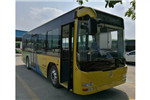 Golden Dragon Bus XML6935JEV10C Electric City Bus