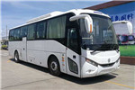 Yinlong Bus TJR6119CHEVBT1 Plug-in City Bus