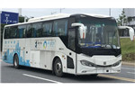 CRRC Bus TEG6120EV02 Electric Bus