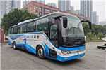 Foton AUV Bus BJ6126EVUA-2 Electric Bus