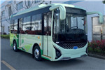 Skywell Bus NJL6650EV Electric City Bus