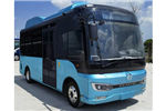Golden Dragon Bus XML6705JEVJ0C Electric City Bus
