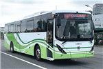 Sunwin Bus SWB6128EV06C Electric Bus