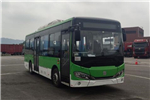 CRRC Bus TEG6853BEV02 Electric City Bus