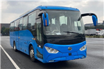 BYD Bus BYD6110C4EV5 Electric Bus