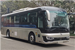 Golden Dragon Bus XML6112JEVJ0C3 Electric Bus
