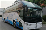 Foton AUV Bus BJ6122FCEVUH Hydrogen Fuel Cell Bus