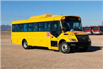 Foton AUV Bus BJ6926S7LDB-1 Diesel Engine School Bus 