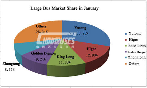 Analysis on Large Bus Sales in January 2015